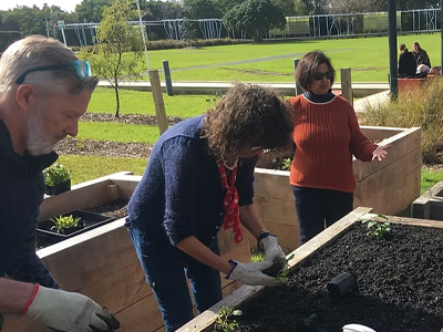 Community gardening