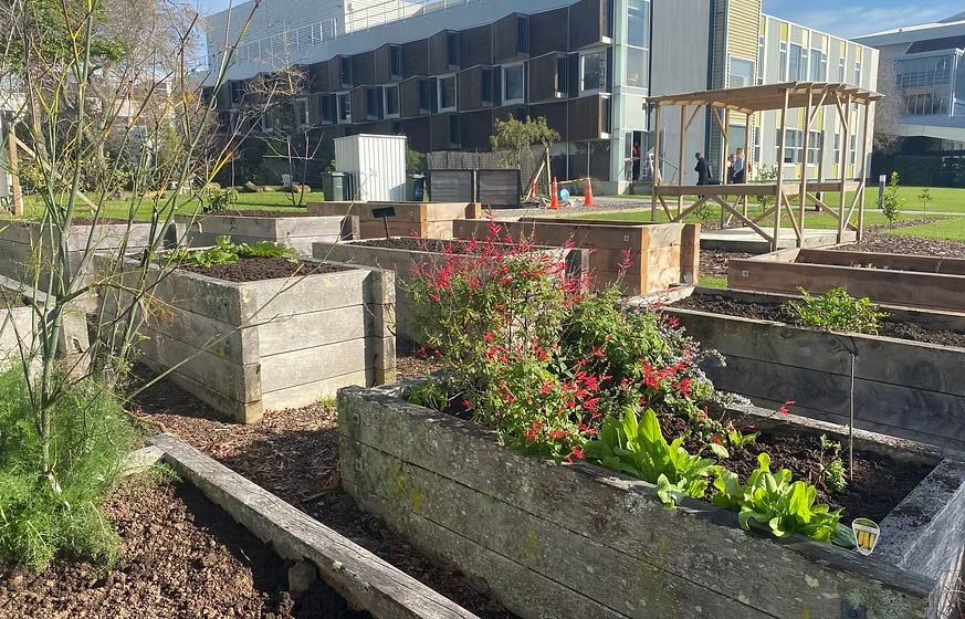 Our garden at the North Campus