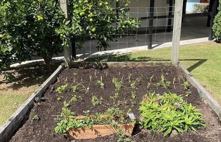 Our garden at NorthTec