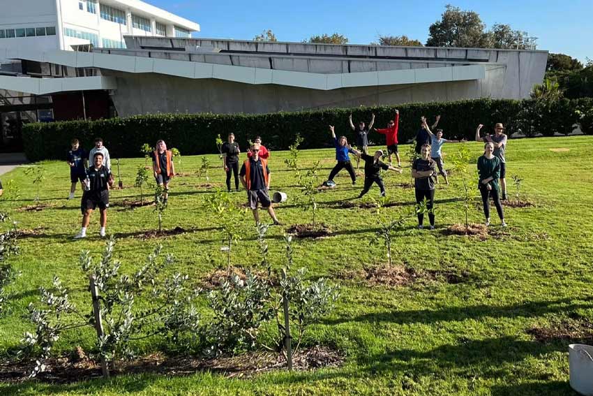 Planting trees at AUT