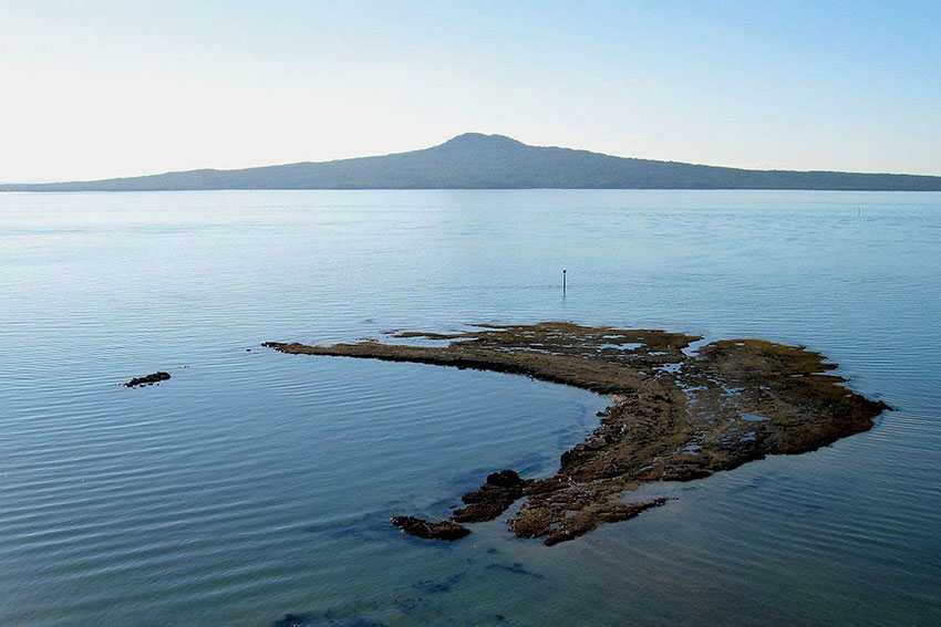 Rangitoto Island forms a backdrop to the wave-cut platform off Achilles Point, Auckland.