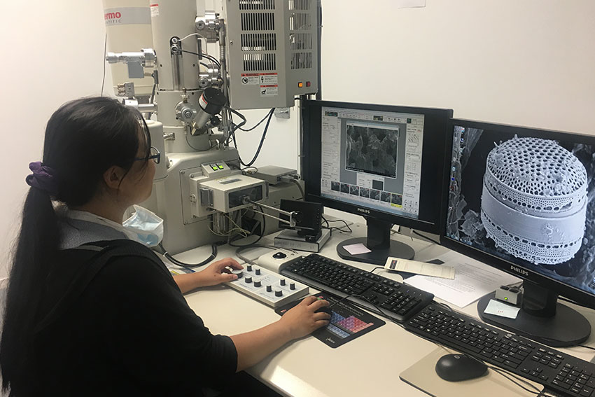 Tribology and Surface Engineering Laboratory