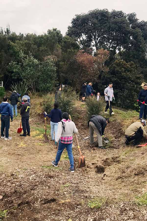 Working in the garden